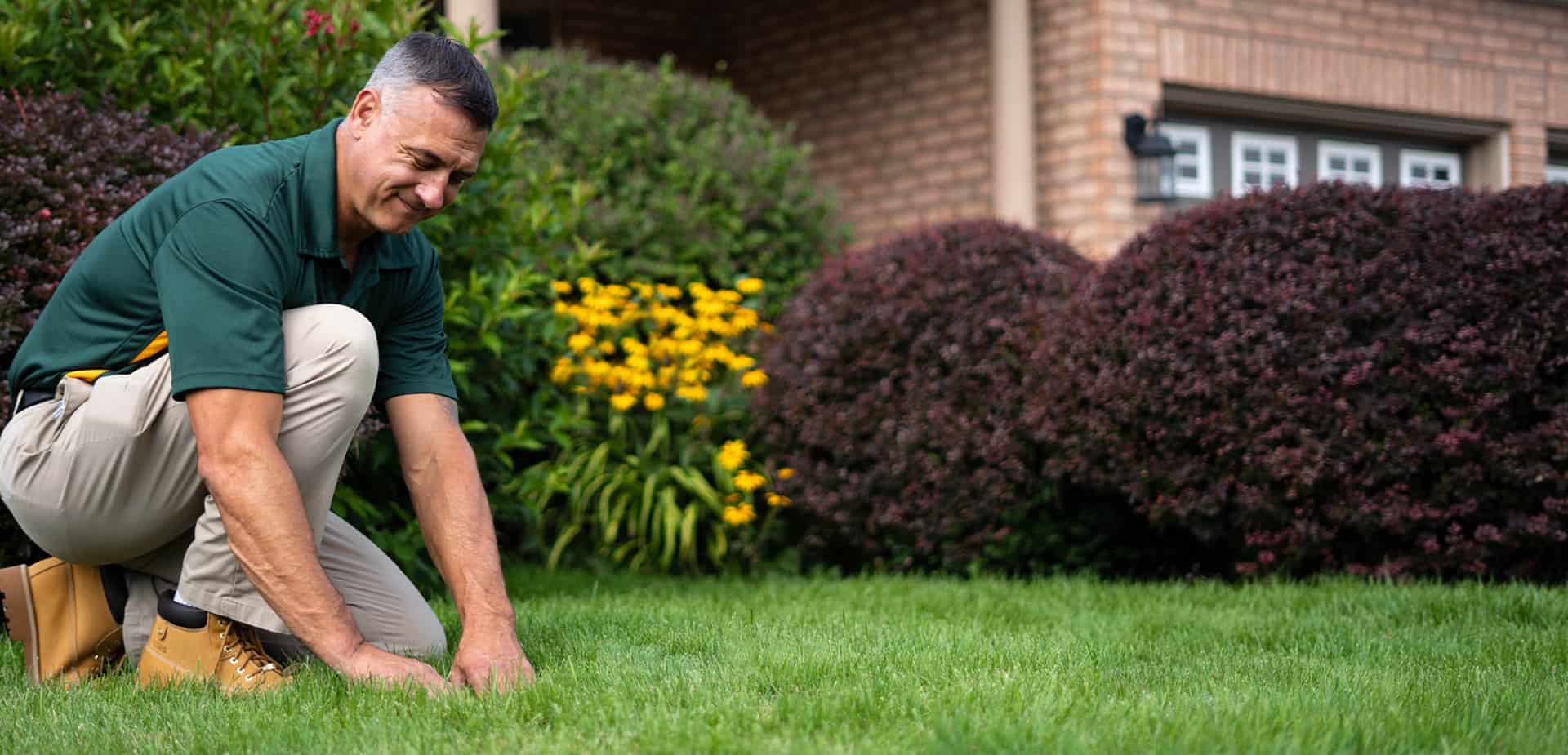 Why Proper Lawn Care Is the Key to a Weed-Free, Lush Lawn