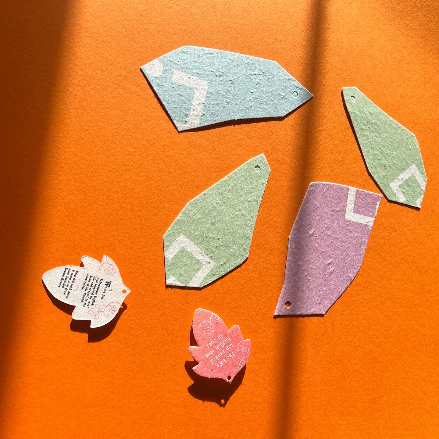 Corporate Flyers for Advertising: Sustainable Marketing with Seeded Paper