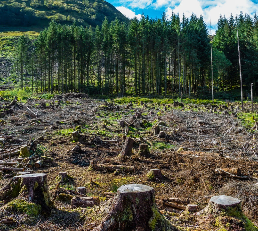 ENVIRONMENTAL LAW FIRM SERVICES: COMPLIANCE, PERMITS, AND DISPUTES