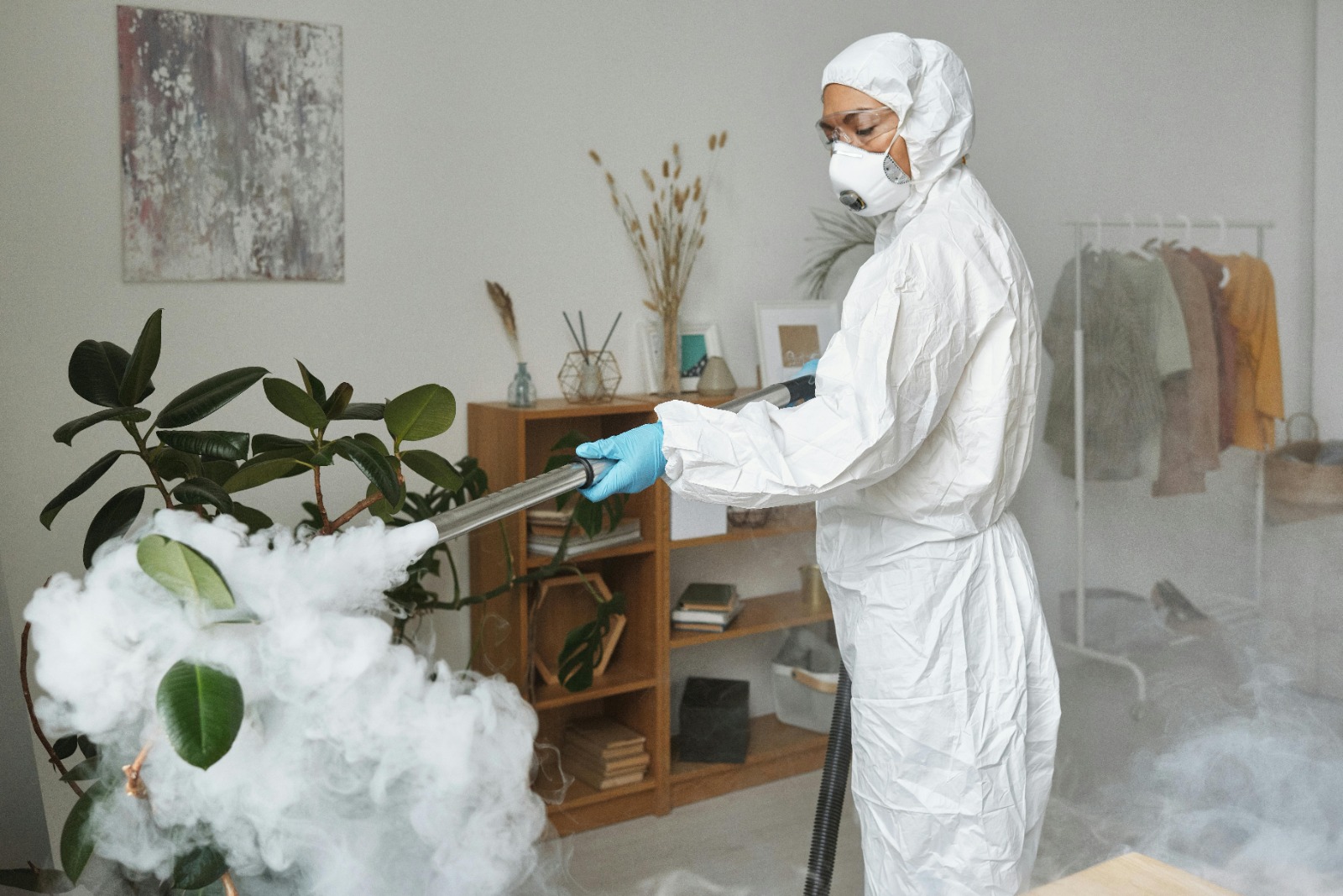 Affordable Bed Bug Pest Control Without Hidden Fees